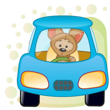 Arabanın içinde köpek yavrusu