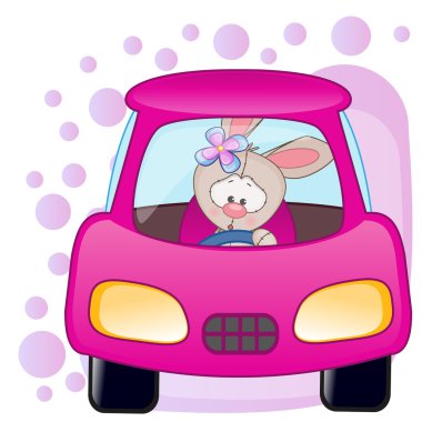 Tavşan kız arabada