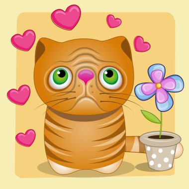 Kalp ve çiçek ile kedi