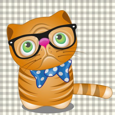 Hipster kedi içinde gözlük