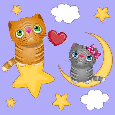 Aşık kedi gökyüzünde