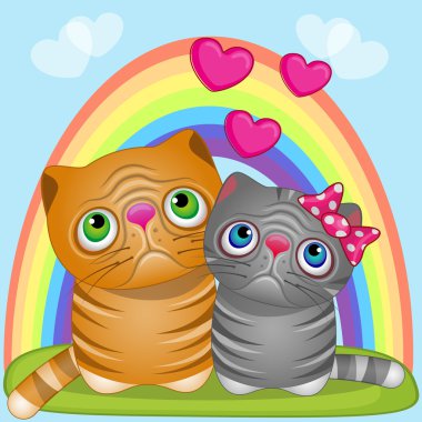 Şirin aşık kediler