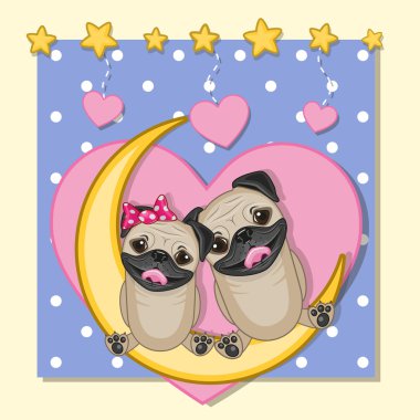 Aşık köpek Pug