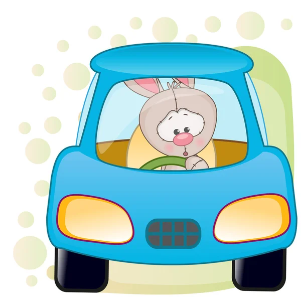 Rabbit in a car — Stock Vector