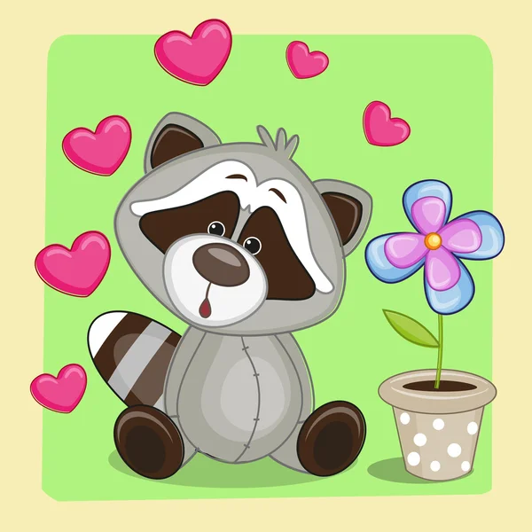 Raccoon with heart and flower — Stock Vector