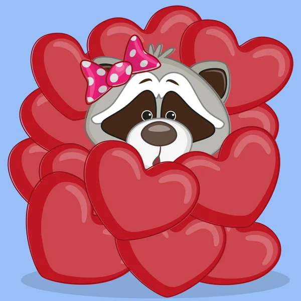 Raccoon in hearts — Stock Vector