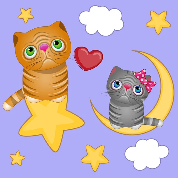 Aşık kedi gökyüzünde