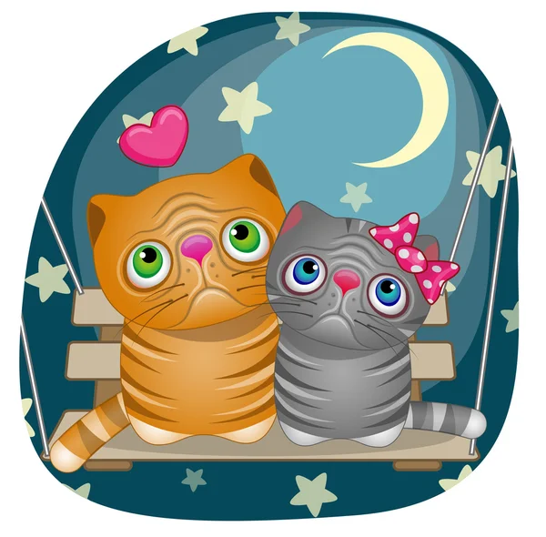 Şirin aşık kediler