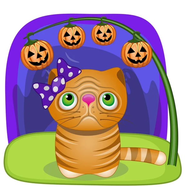 Halloween kat met pompoen — Stockvector