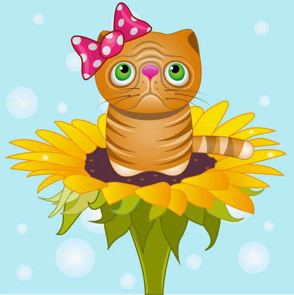 Şirin Çizgi Film Kedisi