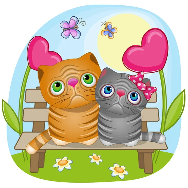 İki sevimli aşık kediler