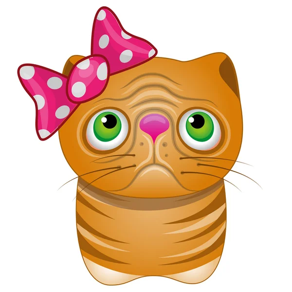 Sevimli kedi izole kız