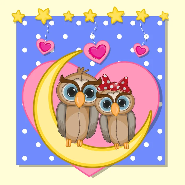 Şirin severler baykuşlar