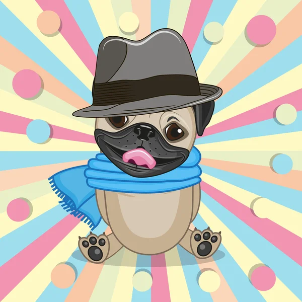 Pug Dog with hat — Stock Vector