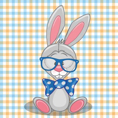 Hipster bunny