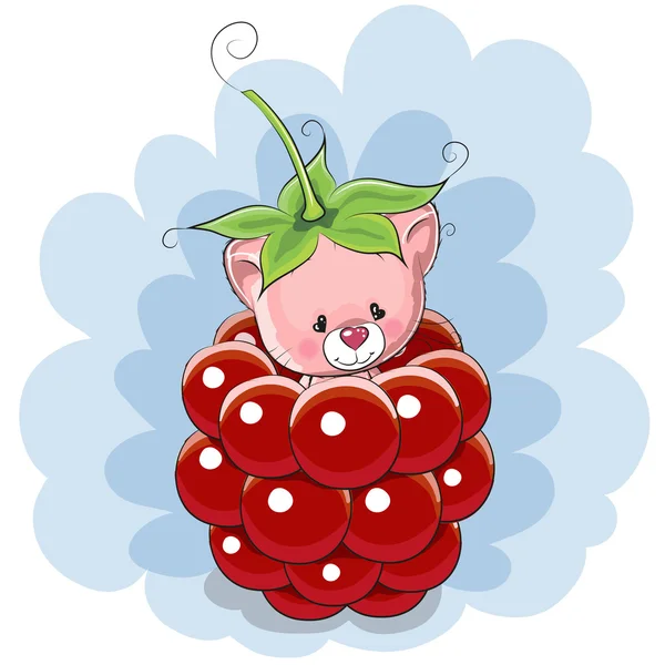 Kitten and raspberry — Stock Vector