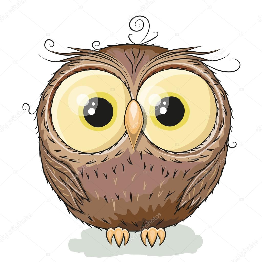 Cute Owl