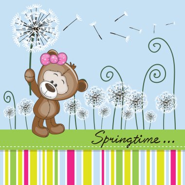 Karahindiba ile şirin ayıcık