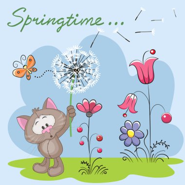 Karahindiba ile şirin kedi