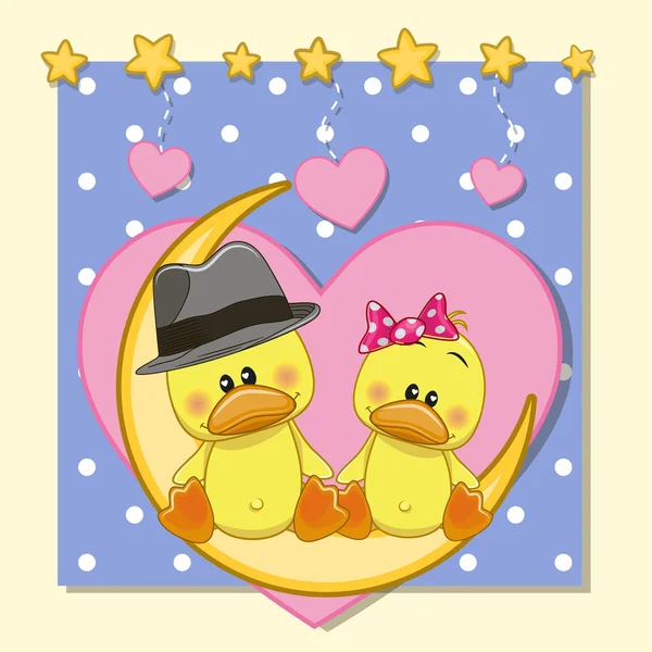 Lovers Ducks — Stock Vector