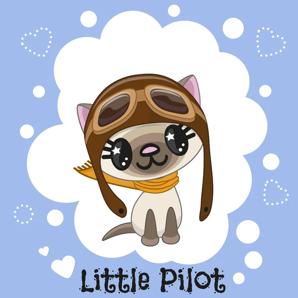 Küçük Pilot — Stok Vektör