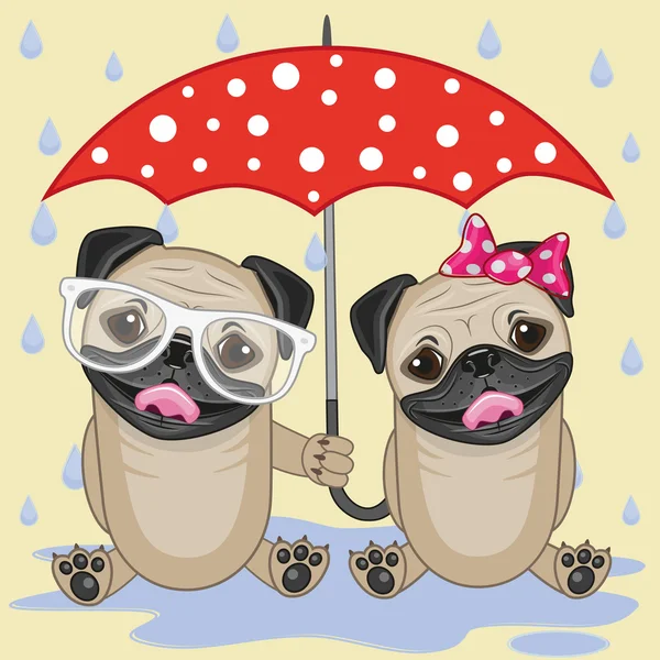Due Cani con ombrello — Vettoriale Stock