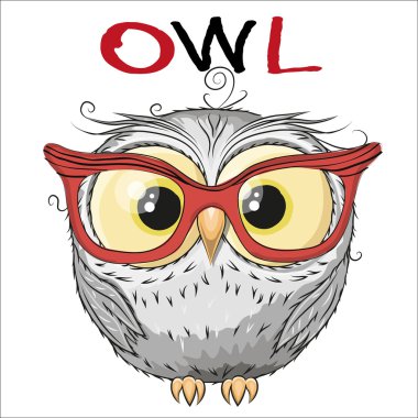 Cute Owl clipart