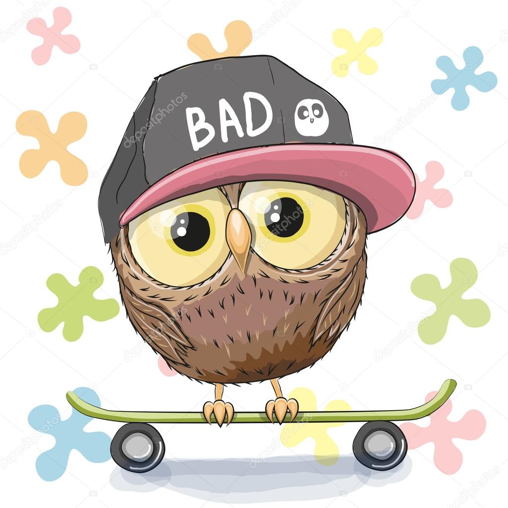 Owl with skateboard
