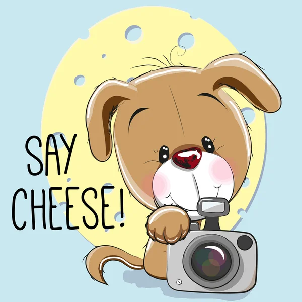 Dog with a camera — Stock Vector