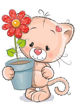 çiçek ile yavru kedi