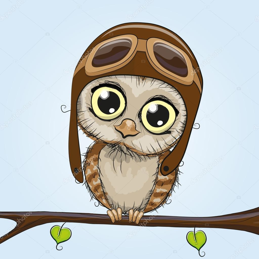 Cute Owl