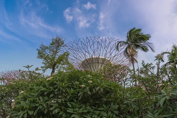 Die Stadt Singapur — Stockfoto