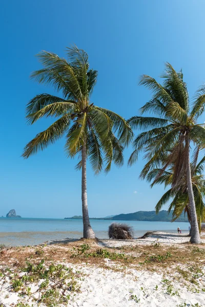 stock image phuket in thailand