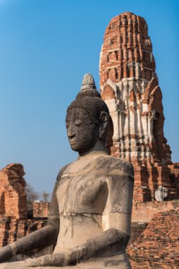 Ayutthaya Tapınağı