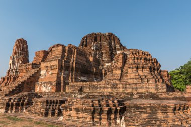 Ayutthaya Tapınağı