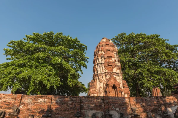 El templo de Ayutthaya —  Fotos de Stock