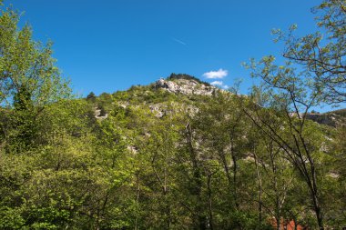 Trieste çevresinde doğa