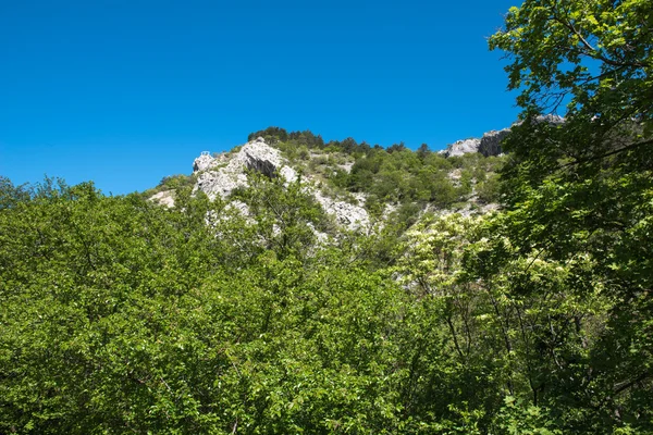 Trieste çevresinde doğa
