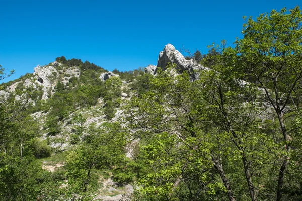 Trieste çevresinde doğa