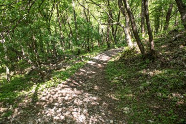 Trieste çevresinde doğa