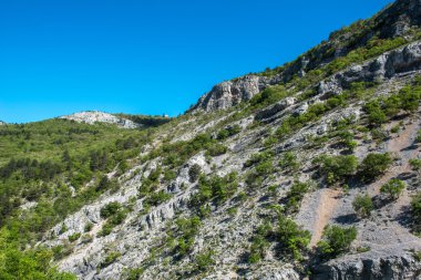 Trieste çevresinde doğa