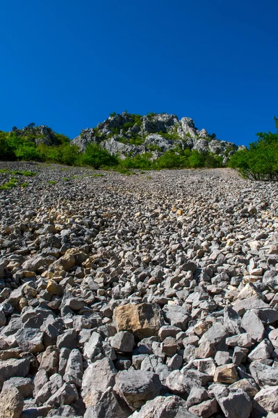 La natura intorno a Trieste — Foto Stock