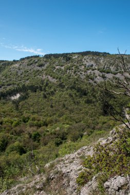 Trieste çevresinde doğa
