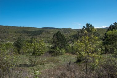 Trieste çevresinde doğa