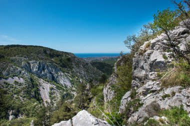 Trieste çevresinde doğa