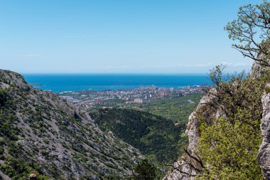 Trieste çevresinde doğa
