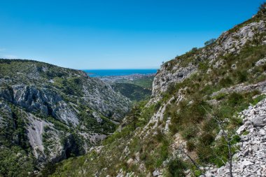 Trieste çevresinde doğa
