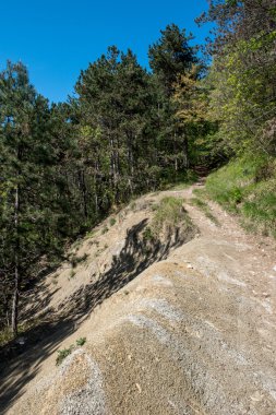 Trieste çevresinde doğa