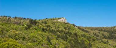 Trieste çevresinde doğa