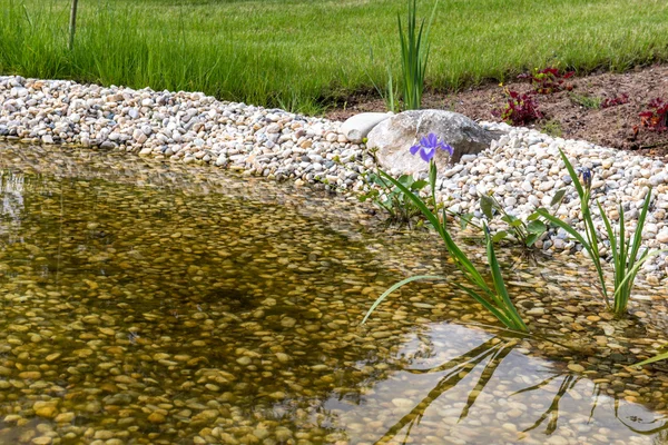 Bloem in de tuin — Stockfoto